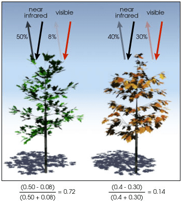 Az NDVI számítása és példa az alkalmazására