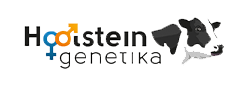 holstein_genetika1